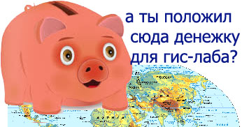 pig.jpg