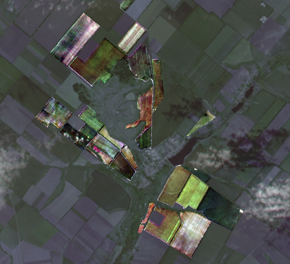 Растровое изображение с искажением цвета.jpg