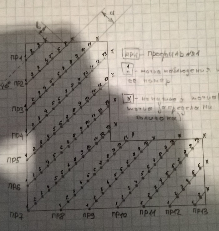 45567.jpg