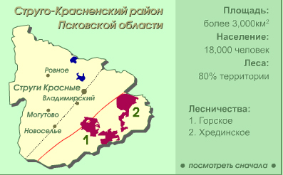 Pskovskiy-model-forest.jpg