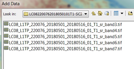 Landsat ST Product L2_b.jpg