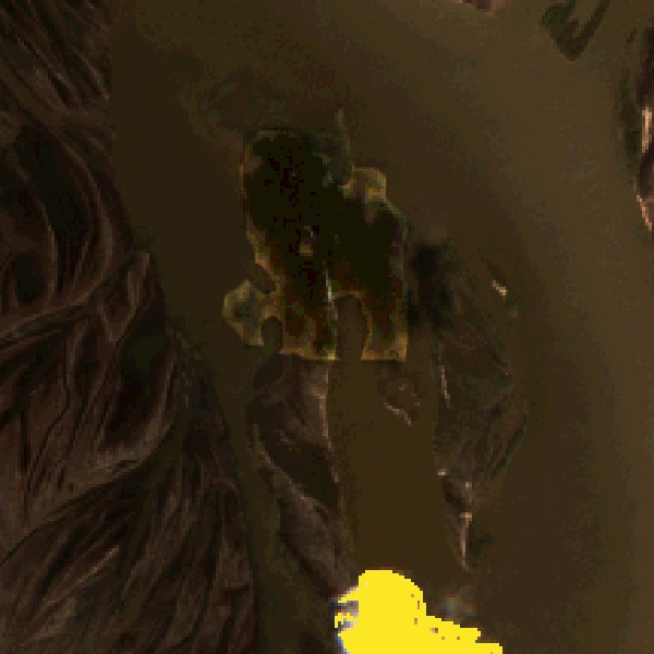CloudShadow_GRASS+контур+яркость.jpg