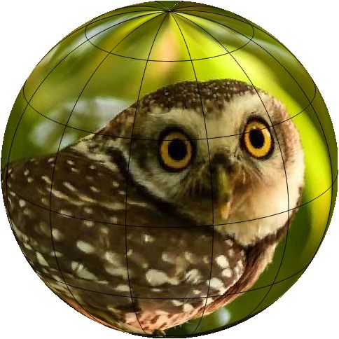 owlglobe.jpg