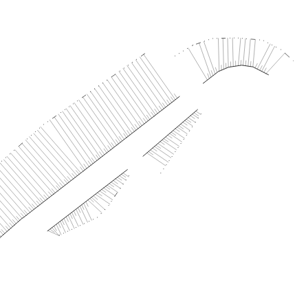 11.png