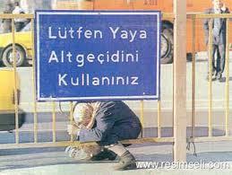 imagesCAIZKHRN.jpg