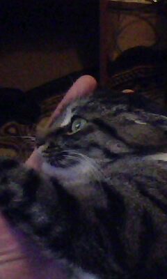 IMG0019A.jpg