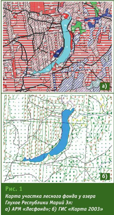 карта лесфонд.JPG