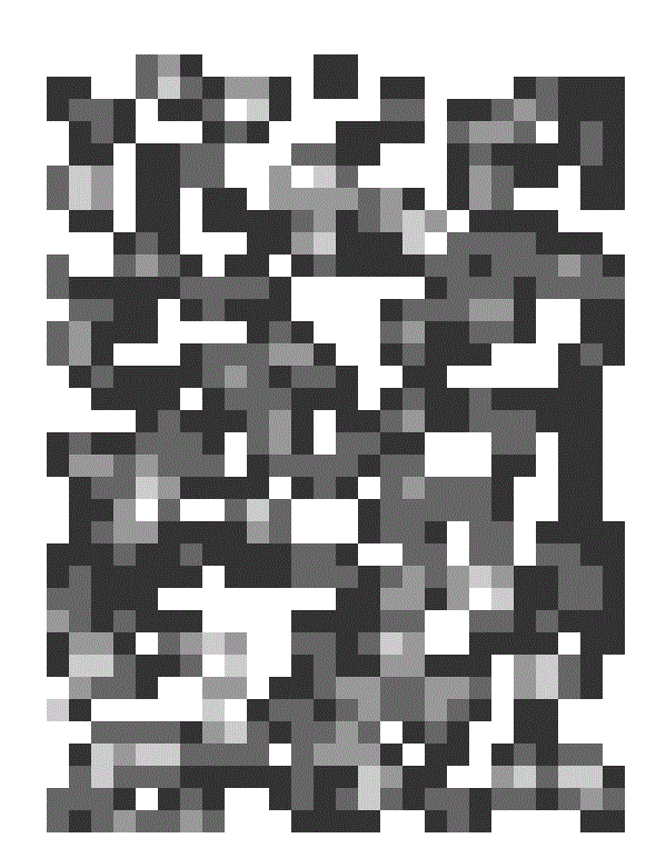 GrayscalePicture.GIF