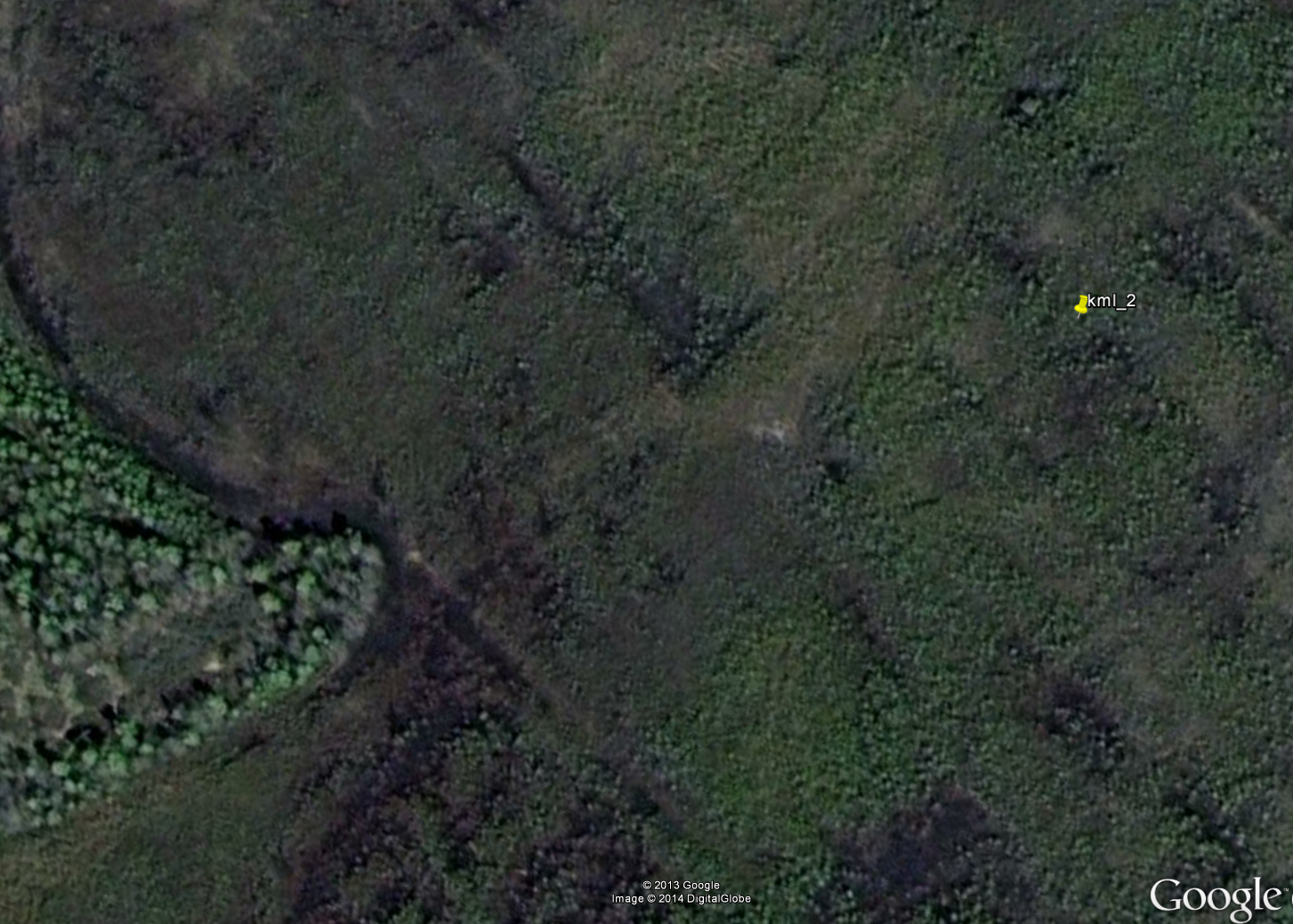 Не похоже на лес, хотя в точке 74% tree cover