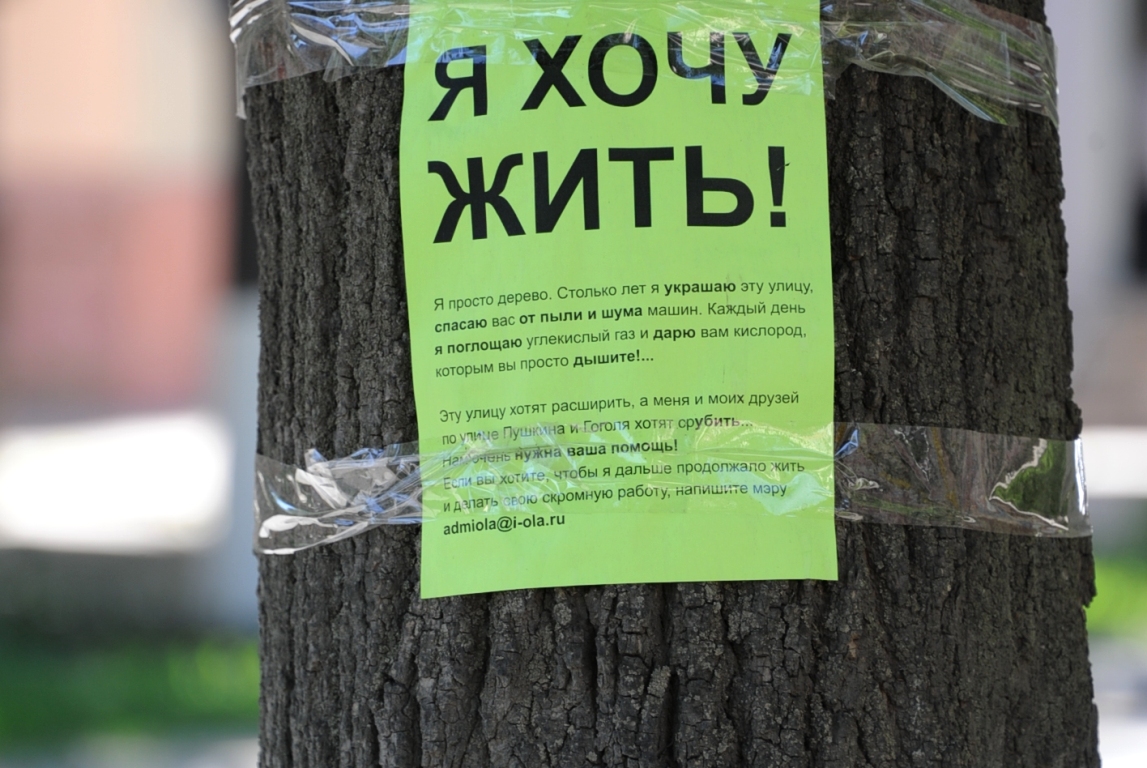 1402063217_derevya5814.jpg