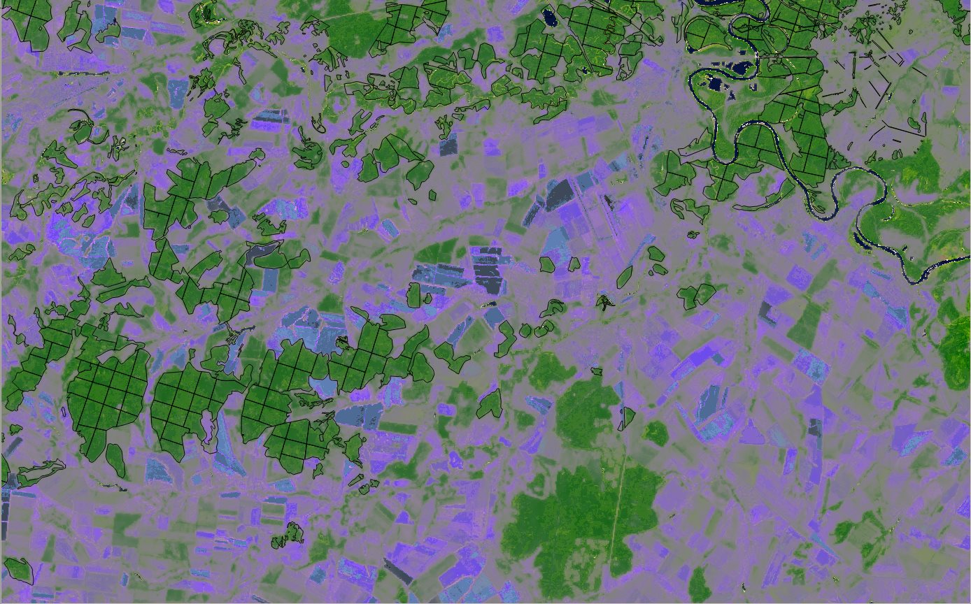 6-с квартальной сетью.jpg