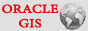 Oracle GIS
